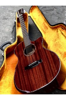 Guitar Custom  M25f